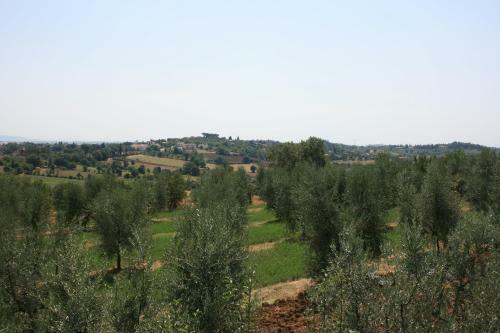 Apartamento Casa Fanfulla