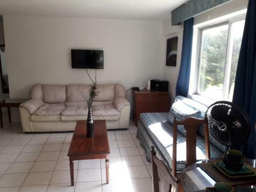 One Bed Room Apartment & One Studio In Ochi Rios