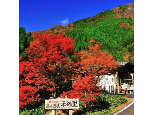 Hotel Sun Ocean - Vacation Stay 84266