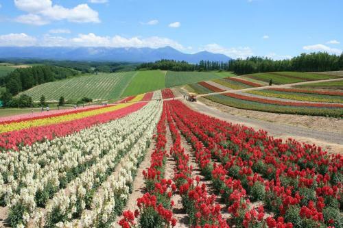Kamikawa-gun - House / Vacation Stay 6279