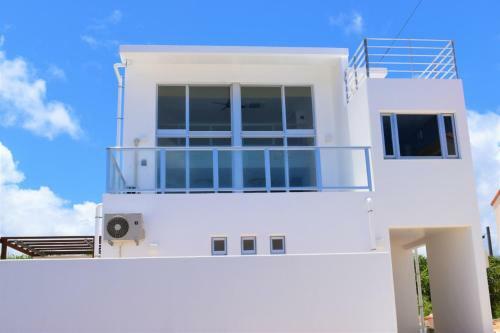 Kunigami-gun - House / Vacation Stay 2562