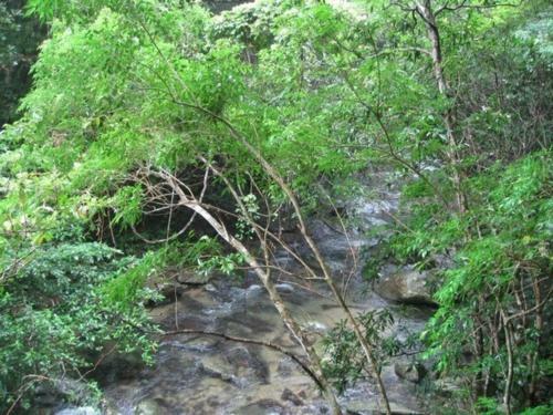 Hostal Condominium de Urmanchu / Vacation Stay 79737