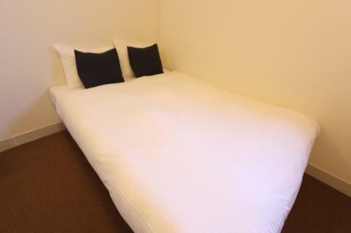 Albergue ?? ?????
