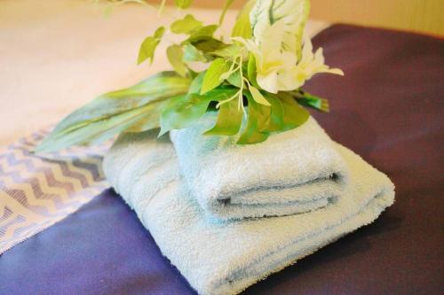 Apartamento Ocean Resort 101 B32