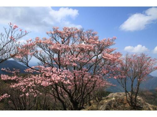 Hotel Avan Sukumo - Vacation Stay 94473