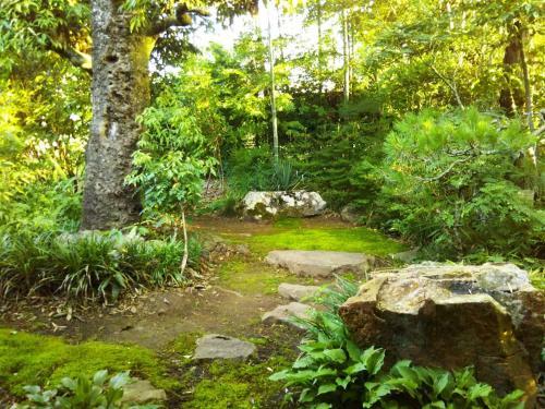 Hostal Kamitakai-gun - House / Vacation Stay 12362