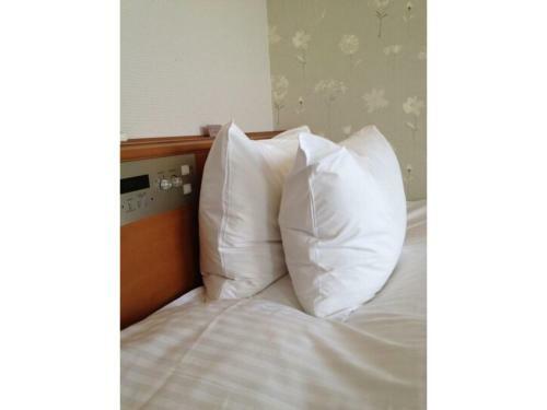 Tottori City Hotel / Vacation Stay 81358