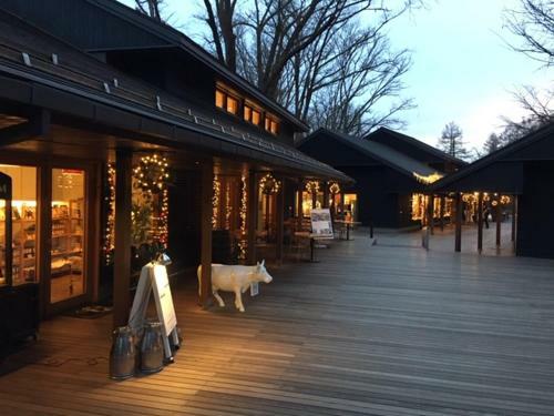 Apartamento Angel Resort Karuizawa
