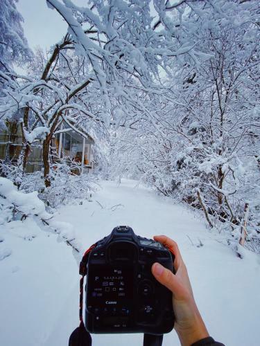 Hotel Apricot Pension