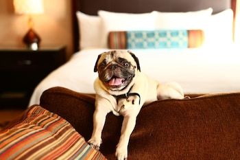 Hotel Staybridge Suites Glenview