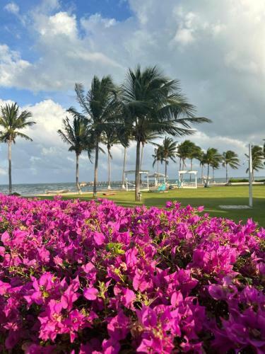 Hotel Grand Caymanian Resort