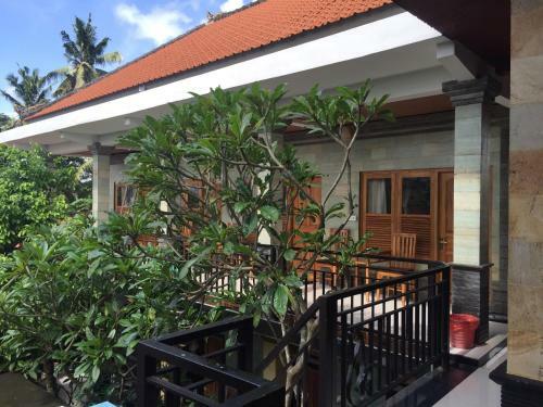 Hostal Soca House