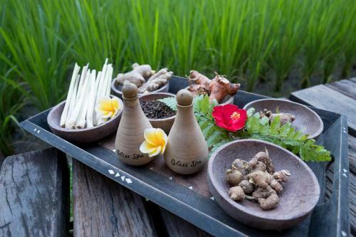 Hostal Bliss Ubud Spa & Bungalow