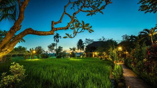 Hostal Bliss Ubud Spa & Bungalow