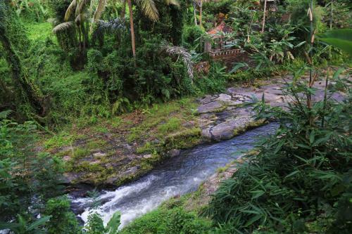 Labak River Hotel