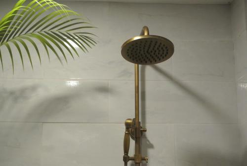 Lisha Grand Hotel