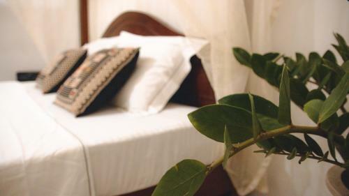 Bed & Breakfast Aloha Villa