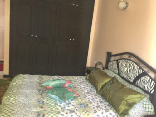 Splanding Apartment Downtown Fes