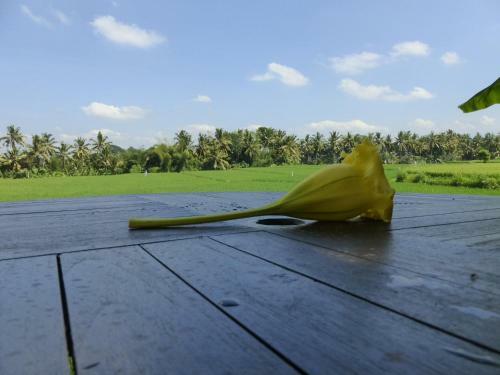 Bali Harmony Villa