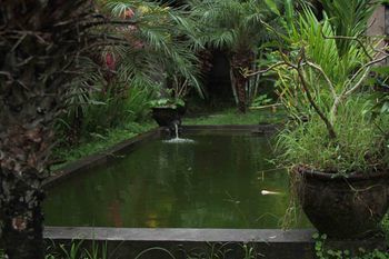 Hostal Bali Gardenview Cottages