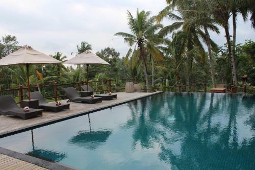 Manyi Village Ubud
