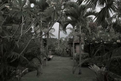 Hostal Rumah Sungai Villa