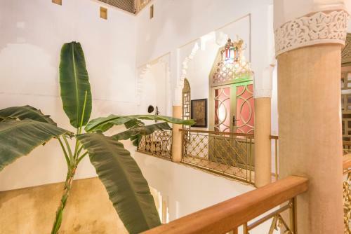 Riad Hissan