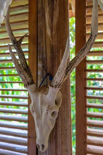Hostal Omunity Bali