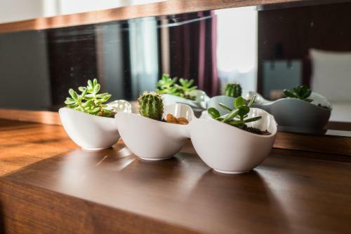 Hotel Bograd - Apartments & Lounge Station