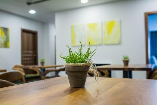 Hotel Bograd - Apartments & Lounge Station