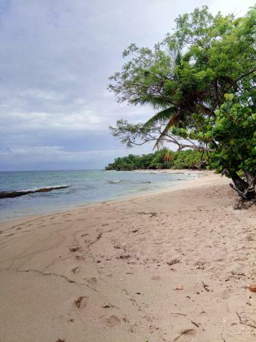 Apartamento Studio In Riviere Salee With Wifi 3 Km From The Beach