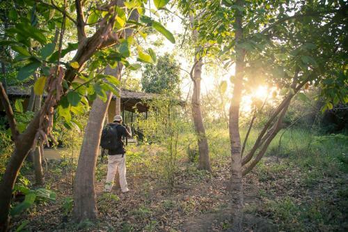 Hotel Jim's Jungle Retreat