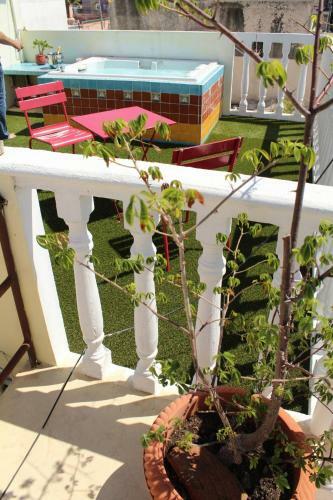 Hostal Cancun Guest House 4 Terrace Tub