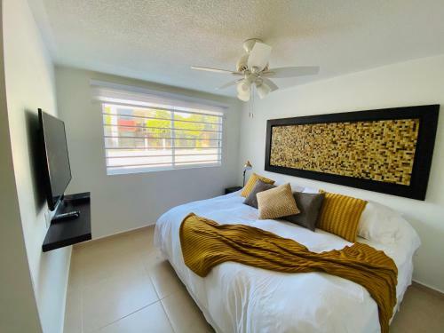 Apartamento Suite �nica Renovada C�ntrica Av Zaragoza C14