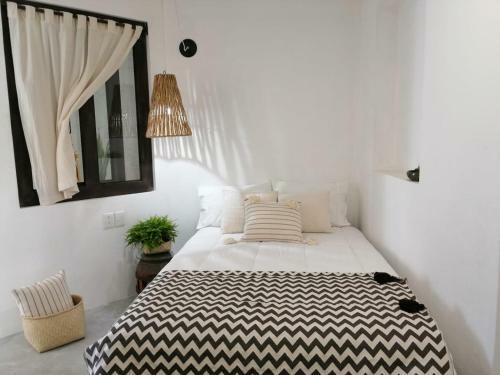 Hotel Casa Olivia Oaxaca