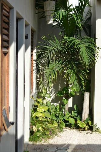 Albergue Hostal Do�a Lucha