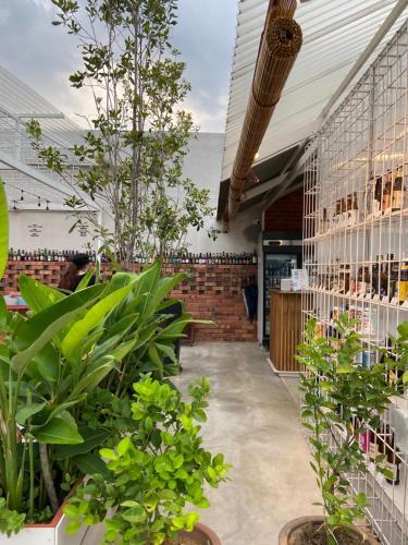 Bed & Breakfast 1502a By Mushroom Projects