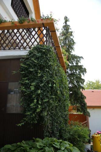 Hostal Simply Sz�ll�