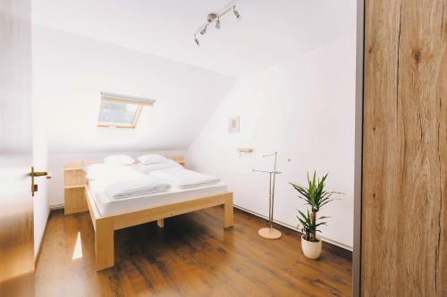 Hostal Judit Bungalow
