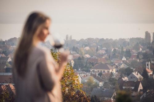 Zenit Wellness Hotel Balaton