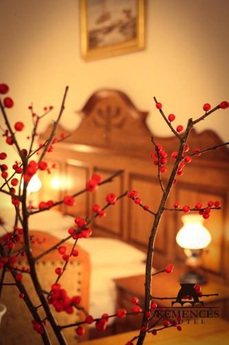 Hostal Kemenc�s Cs�rda �s Panzi�