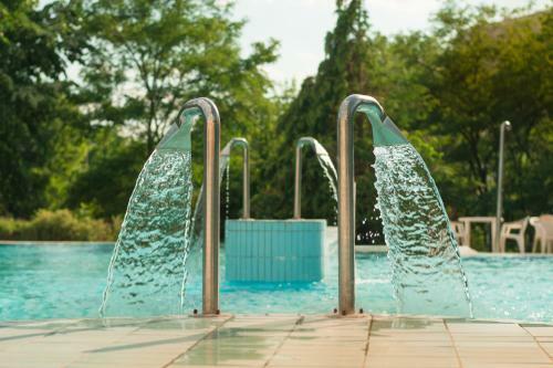 Thermal Hotel Garden