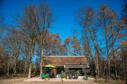 Dream-house Esveld