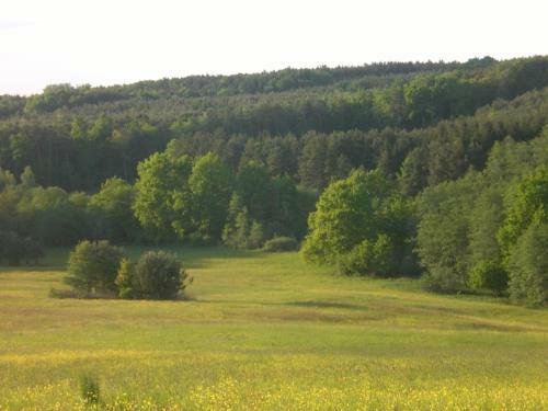 Naturpark Ferienhaus