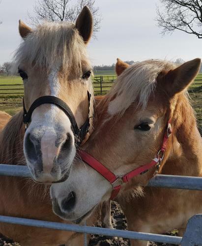 Bed & Breakfast Bij Saar