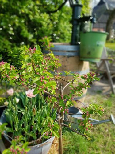 Bed & Breakfast Bij Saar