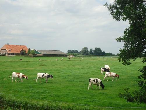 Bed & Breakfast Klein Vreugderijk