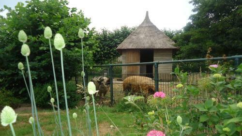 Bed & Breakfast Klein Vreugderijk