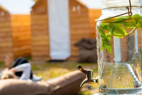 Surfana Beach Hostel Bed & Breakfast Vlieland