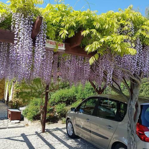 Bed & Breakfast Gomb�s K�ria Mension
